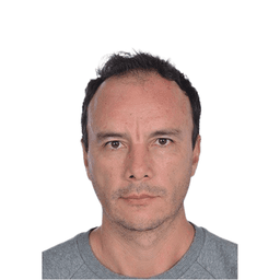 Psicólogo Online: Jesús Aníbal Castellanos Robles